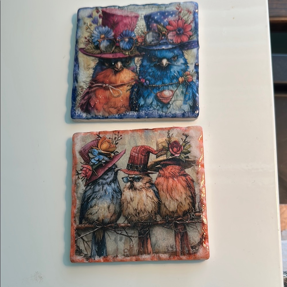 Colorful Owl Coasters Set